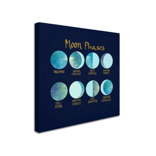 Lisa Powell Braun 'Moon Phases' Canvas Art,35x35